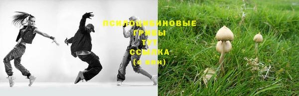 шишки Вязьма
