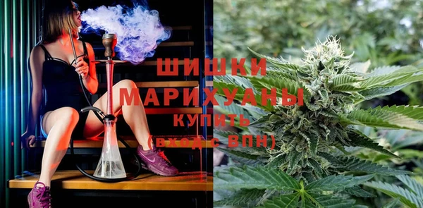 шишки Вязьма