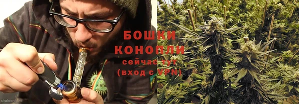 шишки Вязьма