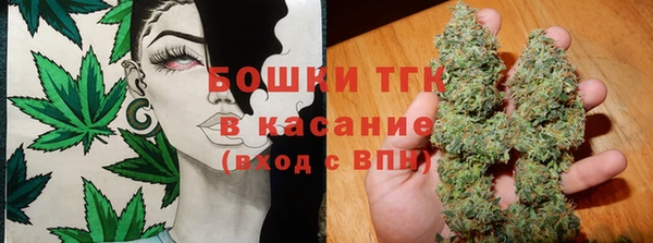 шишки Вязьма