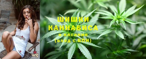 шишки Вязьма