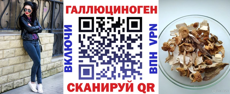 Купить закладки  Катав-Ивановск  Галлюциногенные грибы Psilocybine cubensis 